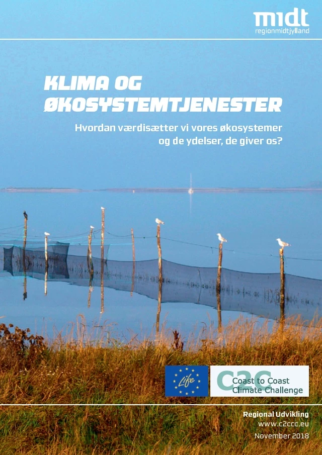 Økosystem tjenester