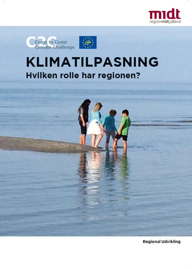 Hvilken rolle har regionen