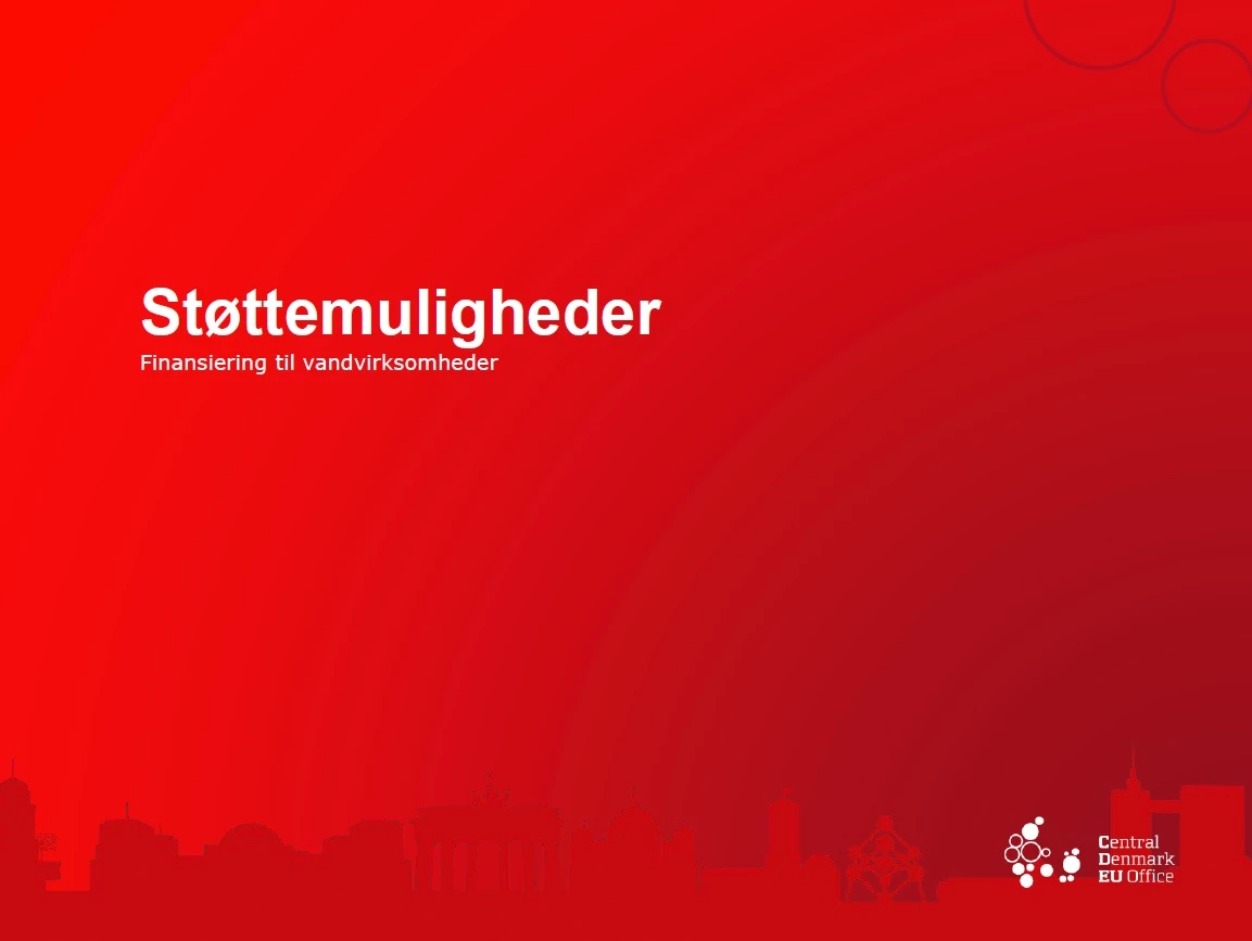 Gå til pdf med publikationen "Støttemuligheder for private virksomheder"