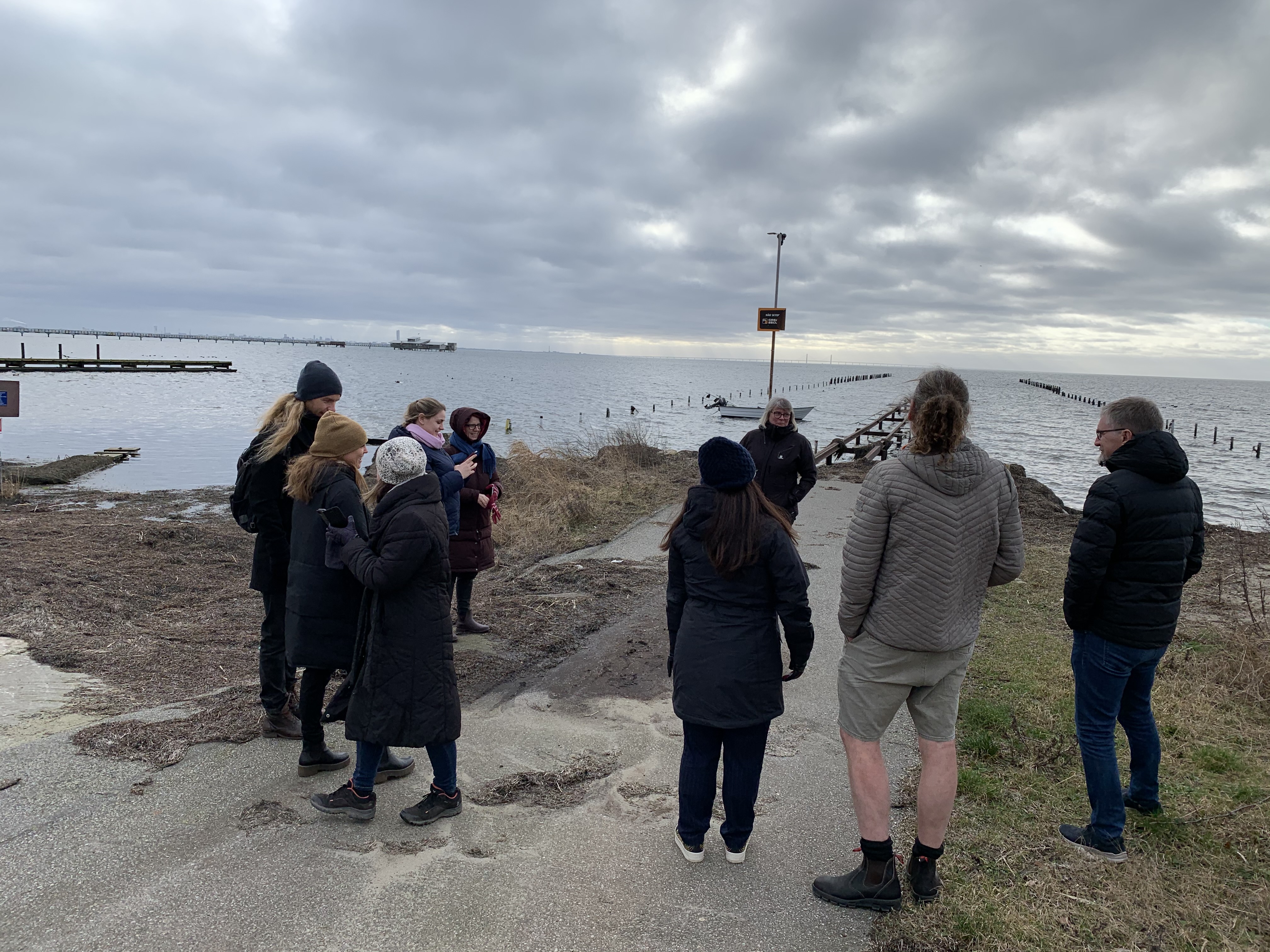 Område, der skal renoveres syd for havnen i Lomma.JPG